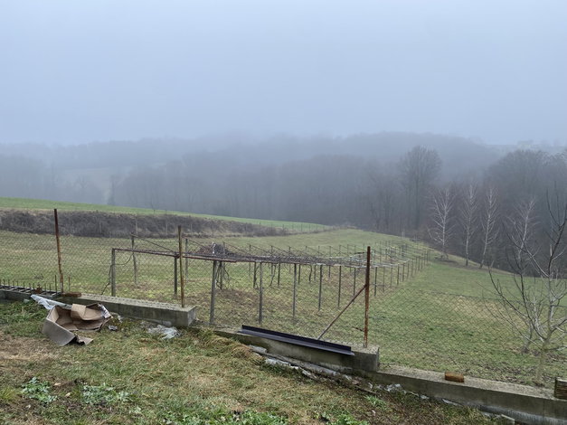 Lokacija: Podravska, Ormož, Šardinje