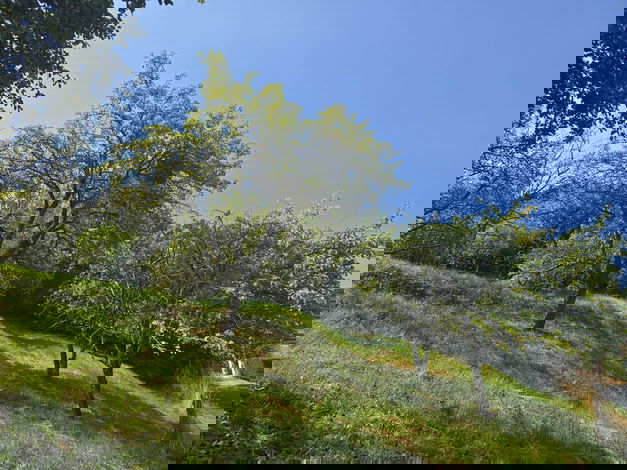 Lokacija: Podravska, Maribor, Bresternica