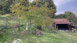 Lokacija: Podravska, Pesnica, Polički vrh