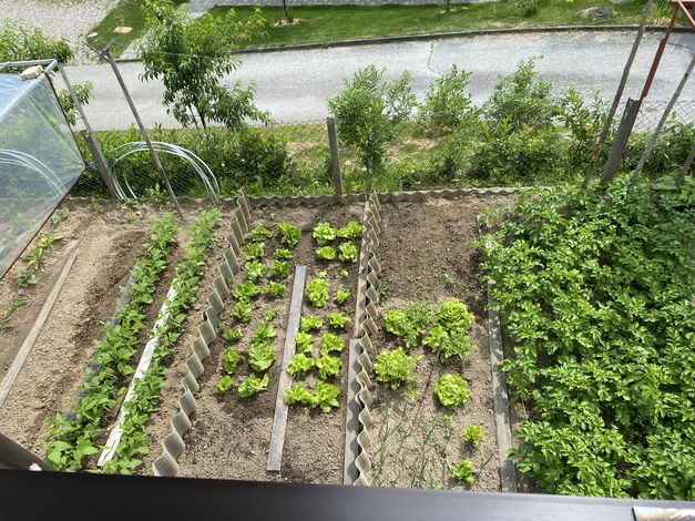 Lokacija: Podravska, Ruše, Bistrica ob dravi