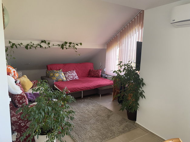 Lokacija: Podravska, Maribor, Ruperče