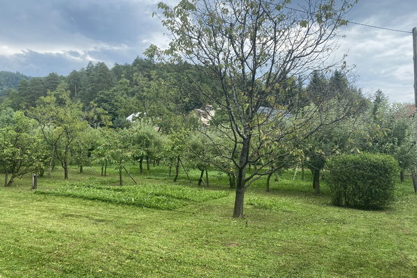 Lokacija: Podravska, Selnica ob Dravi, Selnica ob Dravi