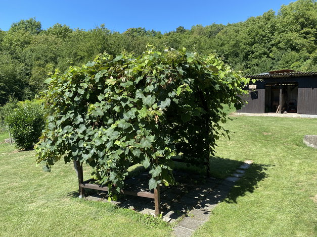 Lokacija: Podravska, Šentilj, Štrihovec