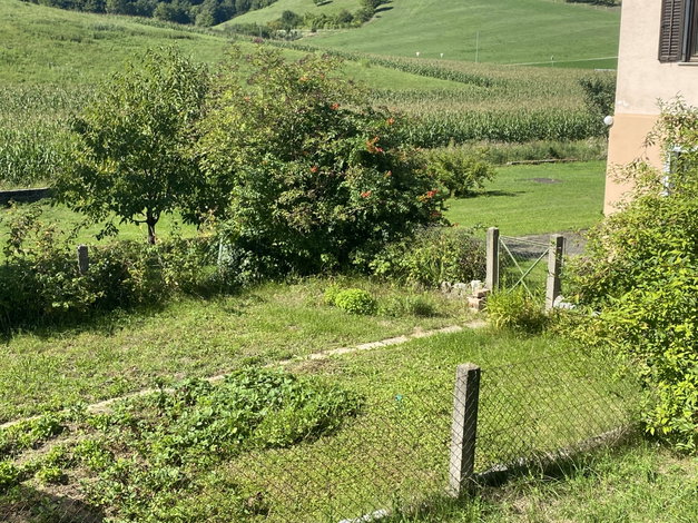 Lokacija: Podravska, Šentilj, Šentilj v Slovenskih Goricah