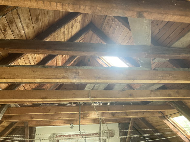 Lokacija: Podravska, Selnica ob Dravi, Zgornja Selnica