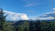 Lokacija: Podravska, Maribor, Maribor