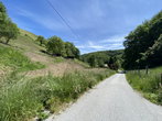 Lokacija: Podravska, Maribor, Rošpoh-del