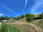 Lokacija: Podravska, Maribor, Rošpoh-del