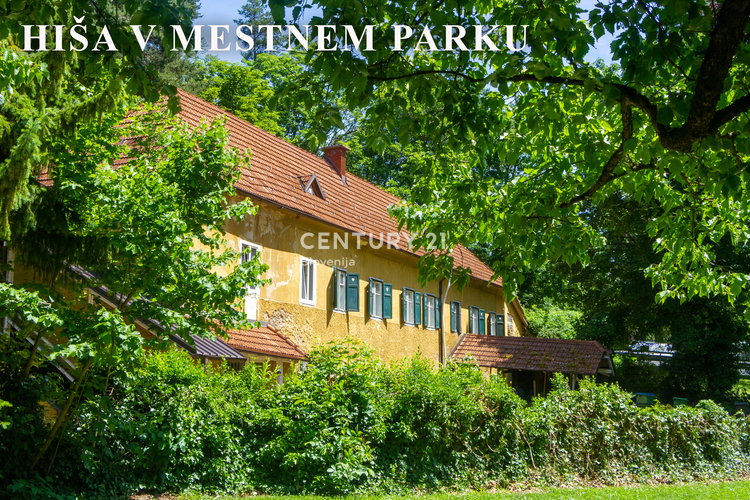 Location: Podravska, Maribor, Center