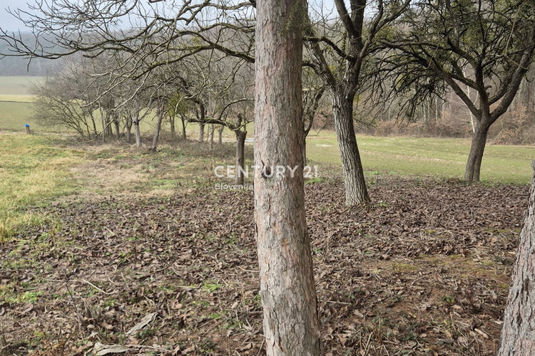 Location: Pomurska, Moravske Toplice, Bukovnica