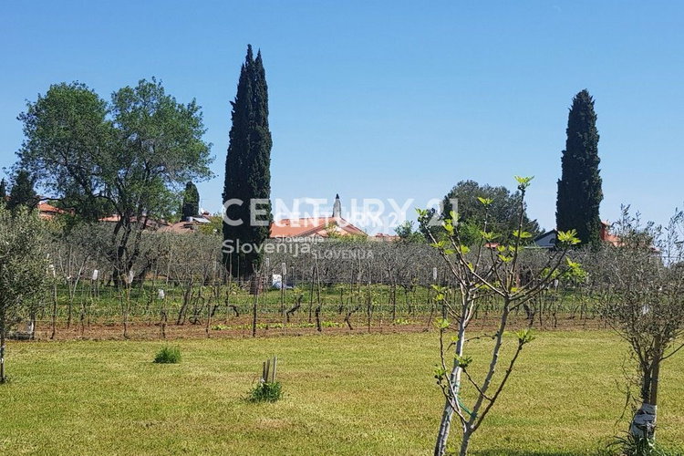 Location: Obalno - kraška, Izola, Izola