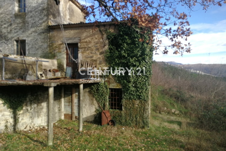 Location: Obalno - kraška, Koper, Olika