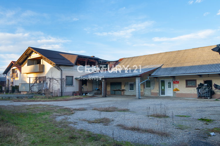 Lokacija: Pomurska, Beltinci, Gančani