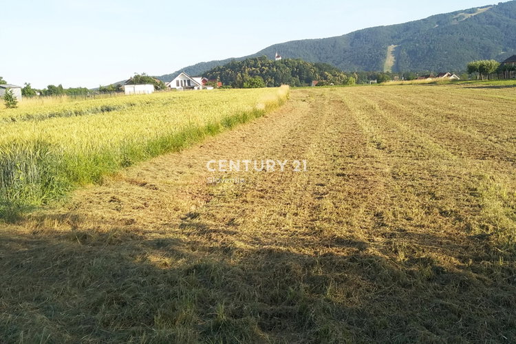 Ubicación: Podravska, Maribor, Studenci