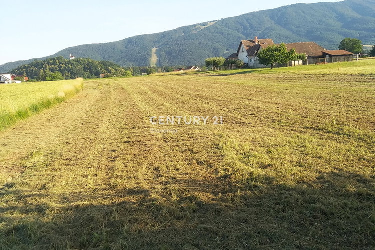Lokacija: Podravska, Maribor, Studenci