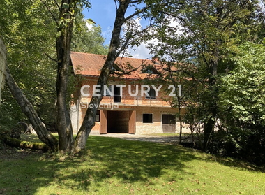 Cerklje na Gorenjskem, Grad