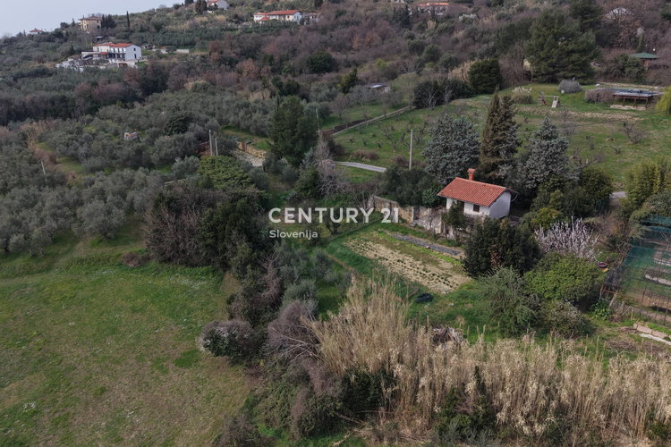 Location: Obalno - kraška, Piran, Lucija