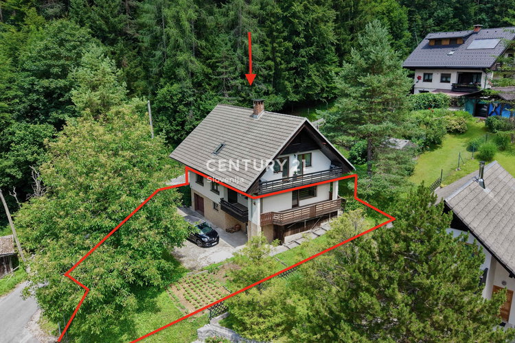 Location: Gorenjska, Kranjska Gora, Gozd Martuljek