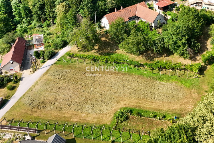 Lokacija: Podravska, Ptuj, Mestni vrh
