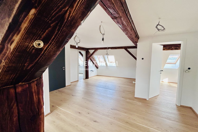 Ubicación: Koroška, Slovenj Gradec, Slovenj Gradec