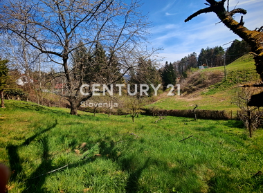 Maribor, Bresternica