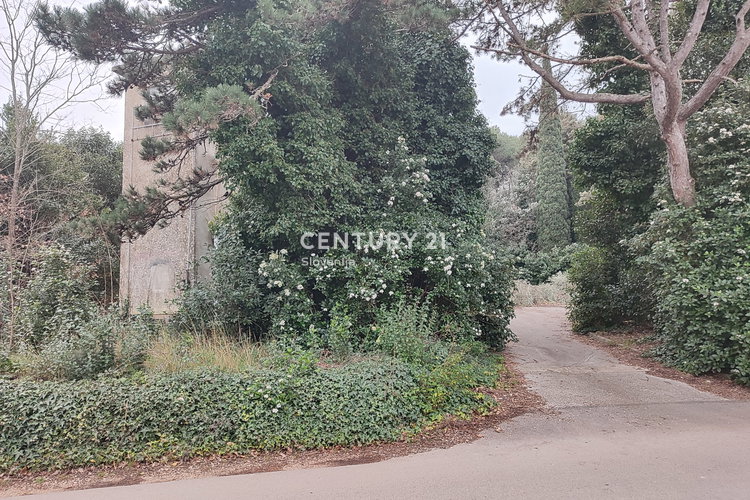 Location: Hrvaška, Istarska županija, Umag