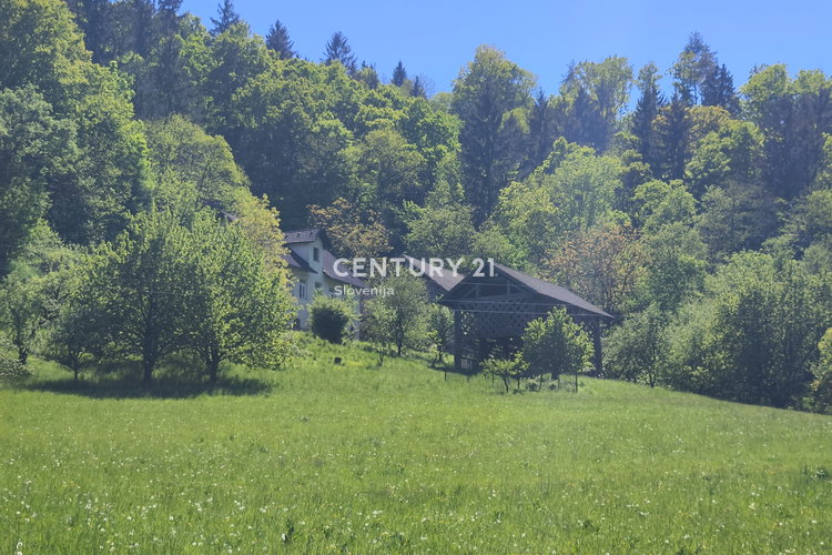 Location: Spodnjeposavska, Radeče, Radeče