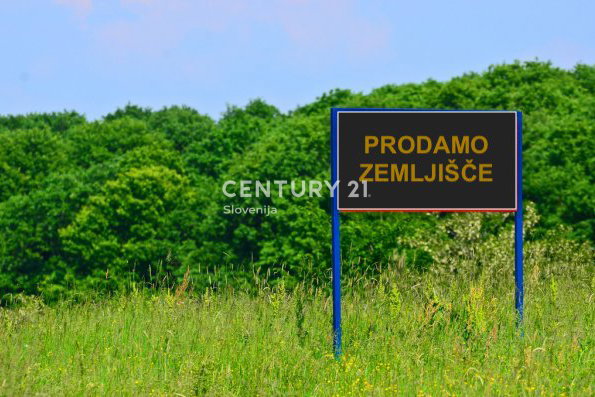 Lokacija: Obalno - kraška, Koper, Spodnje Škofije
