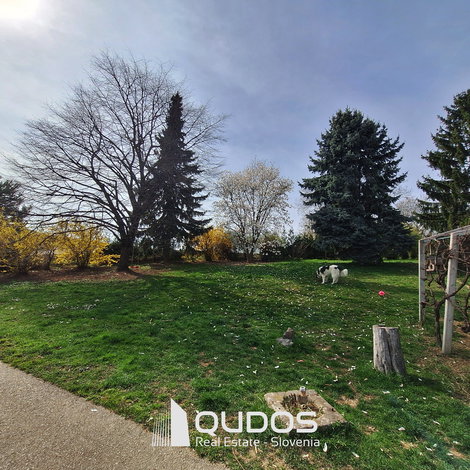 Lokacija: Pomurska, Moravske Toplice, Moravske Toplice