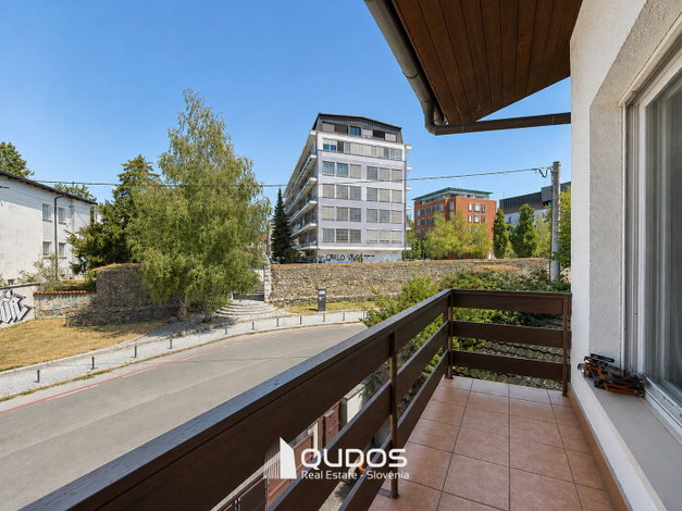 Lokacija: Ljubljana mesto, Vič-Rudnik, Mirje