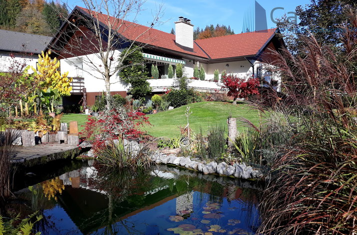 Lokacija: Ljubljana okolica, Kamnik
