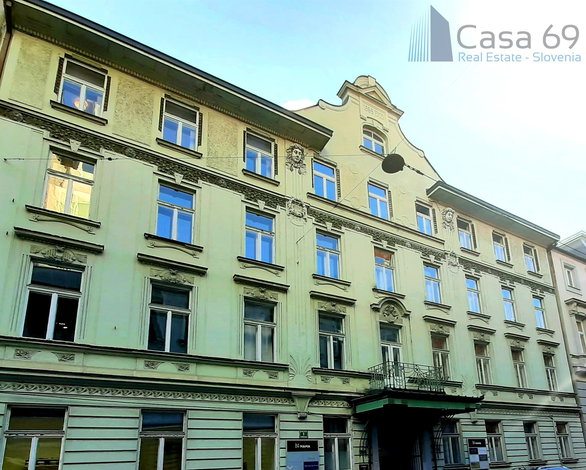 Location: Ljubljana mesto, Center, 