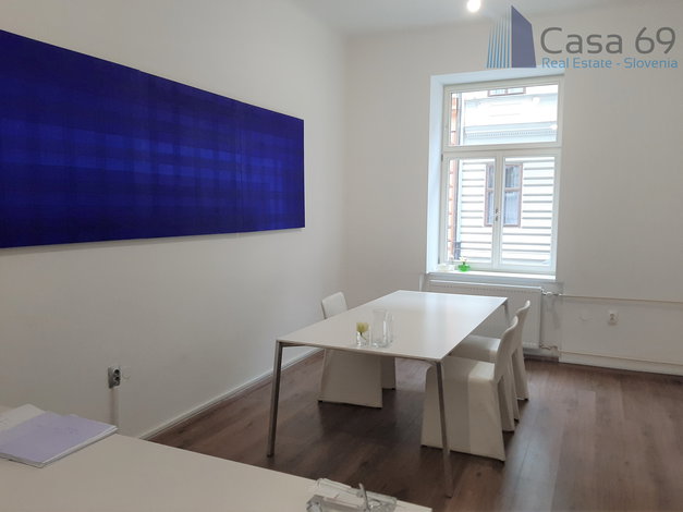 Location: Ljubljana mesto, Center, 