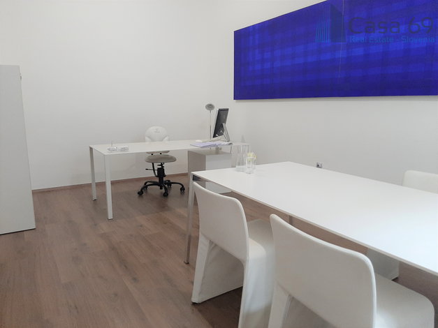 Location: Ljubljana mesto, Center, 