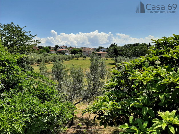 Lokacija: Hrvaška, Istarska županija, Umag