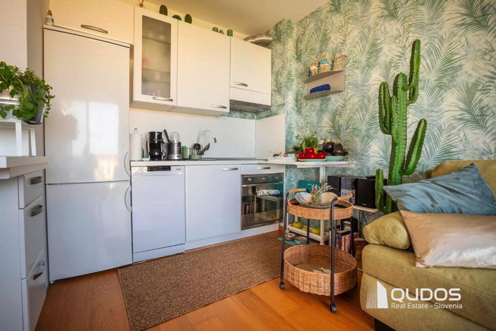 Lokacija: Hrvaška, Istarska županija, Zambratija