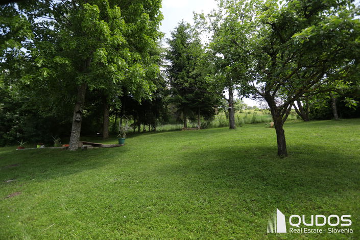 Lokacija: Notranjsko - kraška, Bloke, Nova vas