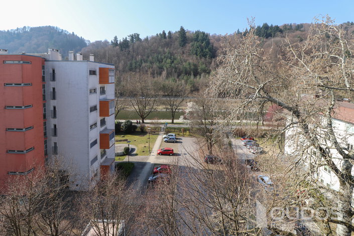 Location: Savinjska, Celje