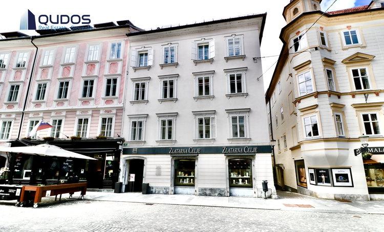Lokacija: Ljubljana mesto, Center, Stara Ljubljana