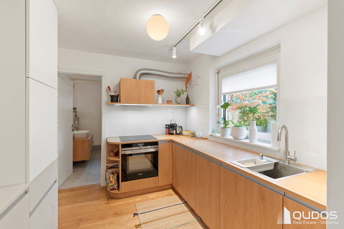 Lokacija: Ljubljana mesto, Moste-Polje, Štepanja vas