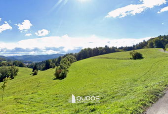 Lokacija: Ljubljana okolica, Dol pri Ljubljani, Vinje