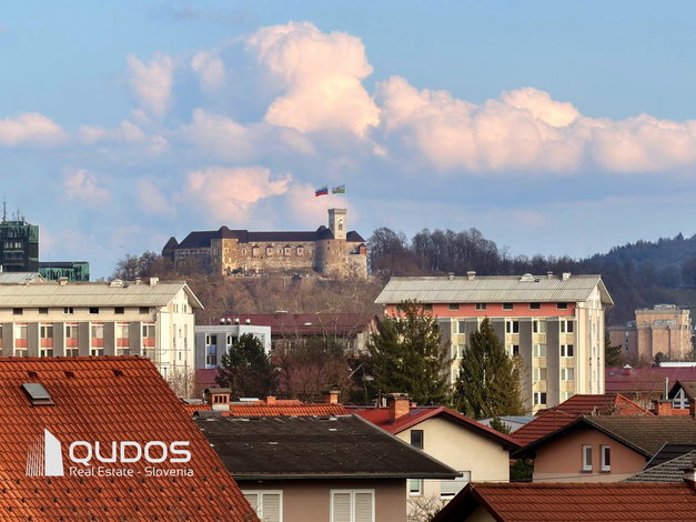 Lokacija: Ljubljana mesto, Vič-Rudnik, Rožna dolina