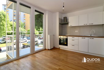 Lokacija: Ljubljana mesto, Šiška, Šiška