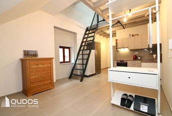 Lokacija: Ljubljana mesto, Center, Prule