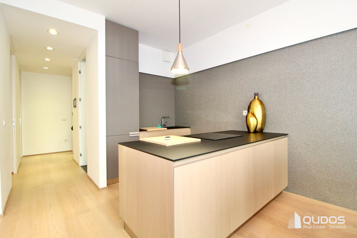 Lokacija: Ljubljana mesto, Center, Center