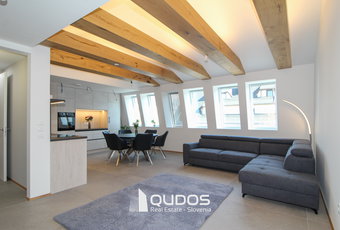 Lokacija: Ljubljana okolica, Kamnik, Kamnik