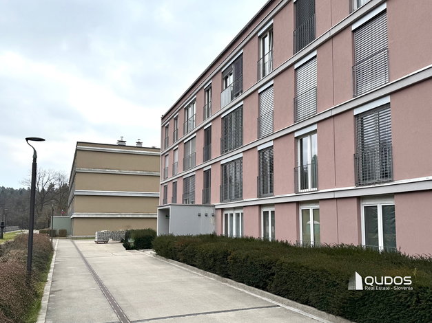 Lokacija: Ljubljana mesto, Šiška, Koseze