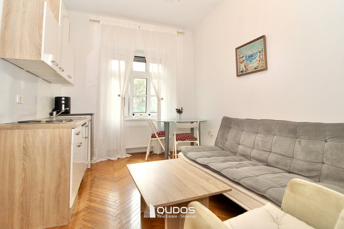 Lokacija: Ljubljana mesto, Center, Center