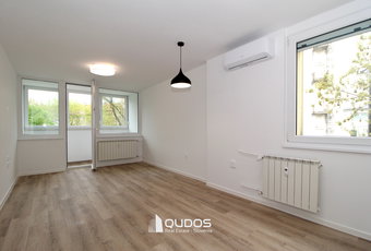 Location: Ljubljana mesto, Šiška, Šiška