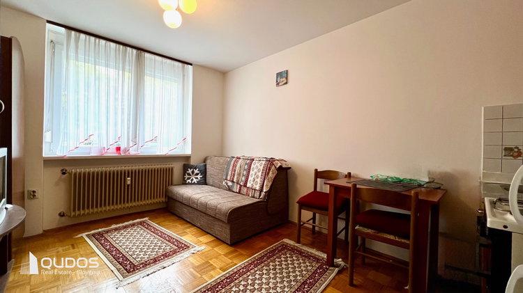 Lokacija: Ljubljana mesto, Bežigrad, Bežigrad